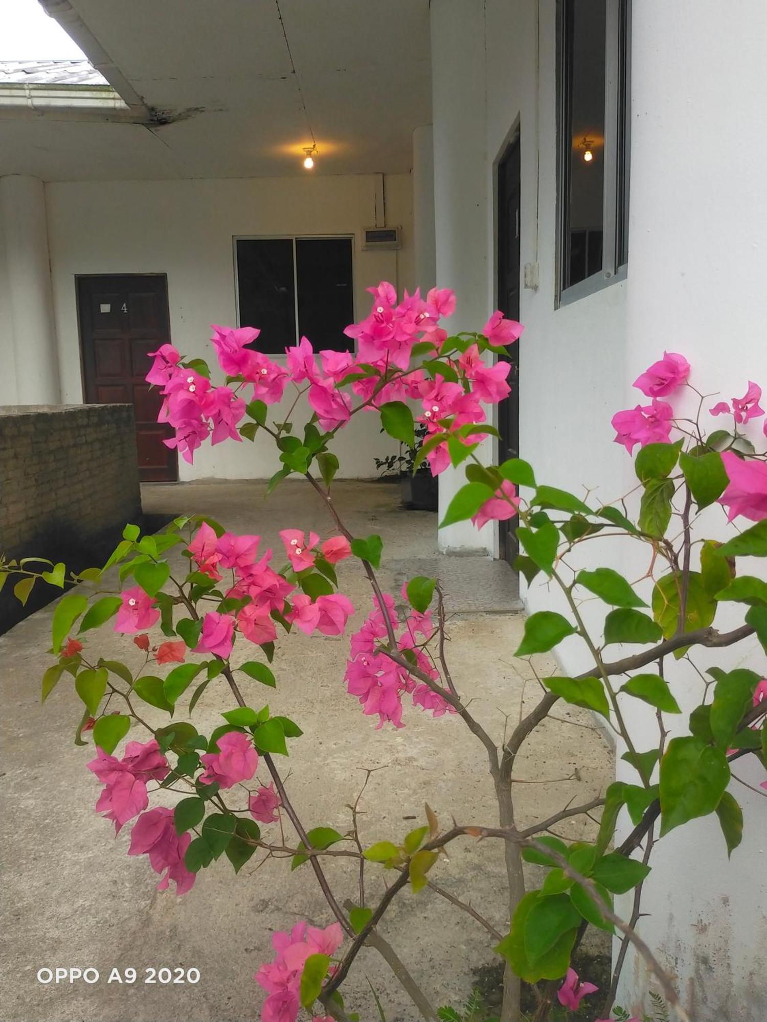 Sukau Tomanggong View Bed & Breakfast Zewnętrze zdjęcie