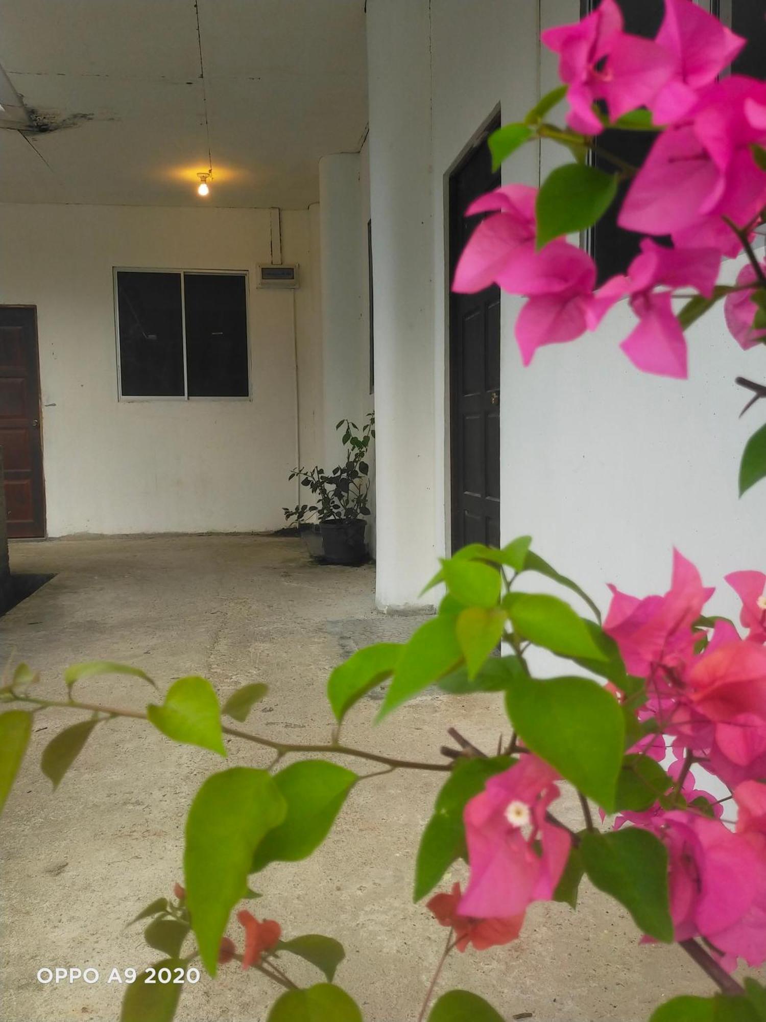 Sukau Tomanggong View Bed & Breakfast Zewnętrze zdjęcie