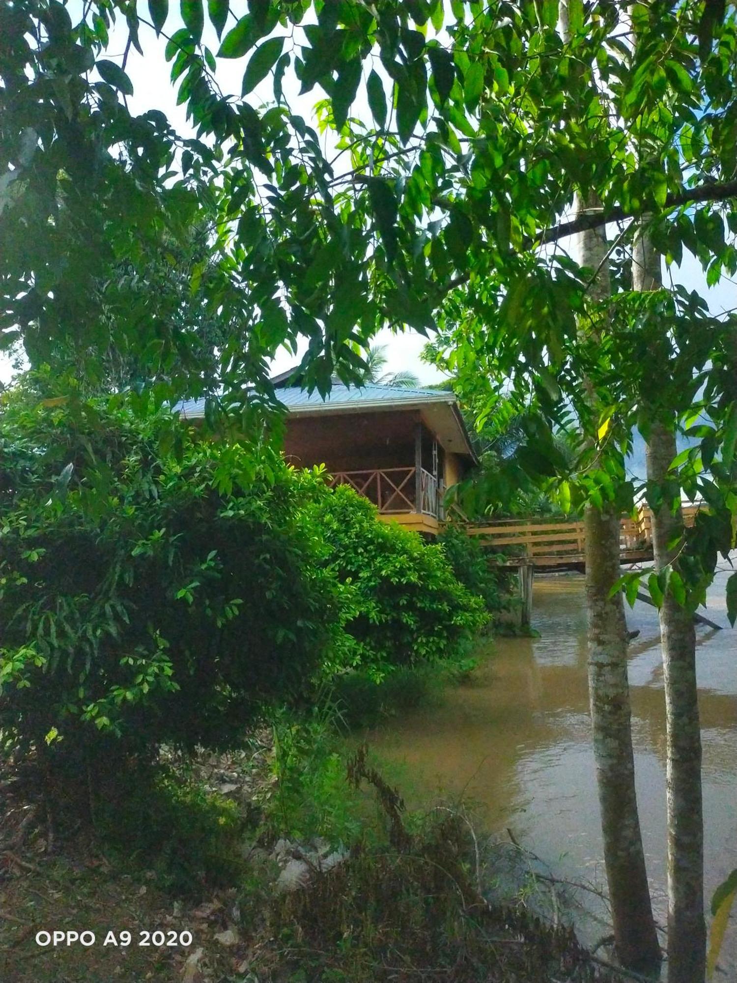 Sukau Tomanggong View Bed & Breakfast Zewnętrze zdjęcie